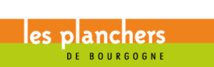 logo footer
